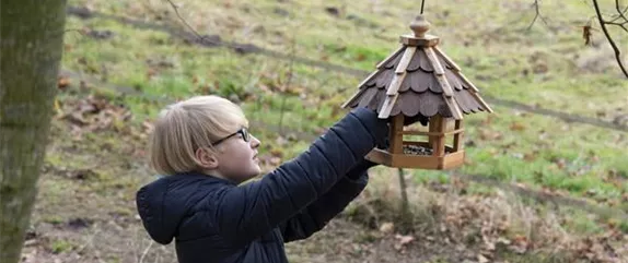 Hungrige Piepmätze im Winter füttern