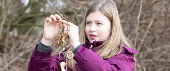 Hungrige Piepmätze im Winter füttern