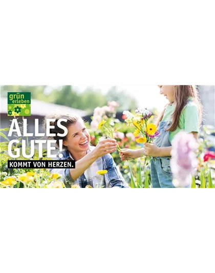 Motiv 5 - Alles Gute