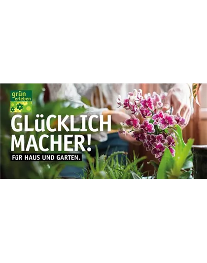 Motiv 1 - Glücklichmacher