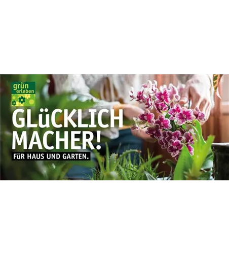 Motiv 1 - Glücklichmacher